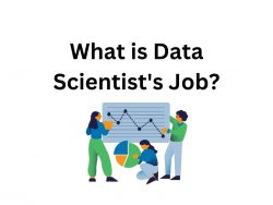 WHAT IS DATA SCIENTIST’S JOB?