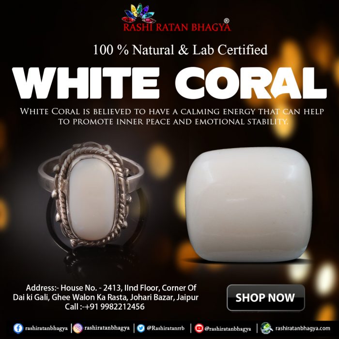 Shop Natural White Coral Stone Online at the best price