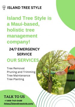 Get Emergency Tree Removal Services