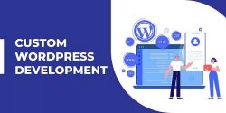 WordPress Development Company in India | Travel-O-Media