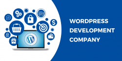 WordPress Development Company In New Jersey | Travel-O-Media