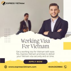 Apply Working Visa For Vietnam With Easy Process – Express Vietnam