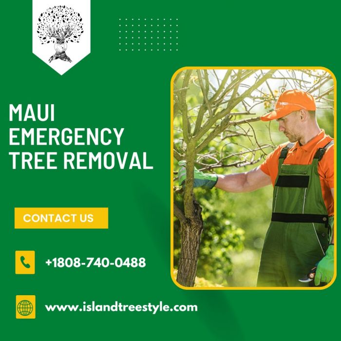 Safeguards for Properties – Maui Emergency Tree Removal