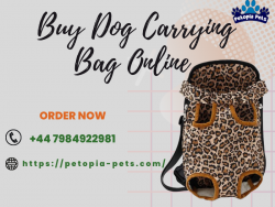 Buy Dog Carrying Bag Online