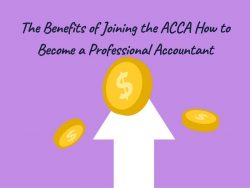 The Benefits of Joining the ACCA How to Become a Professional Accountant