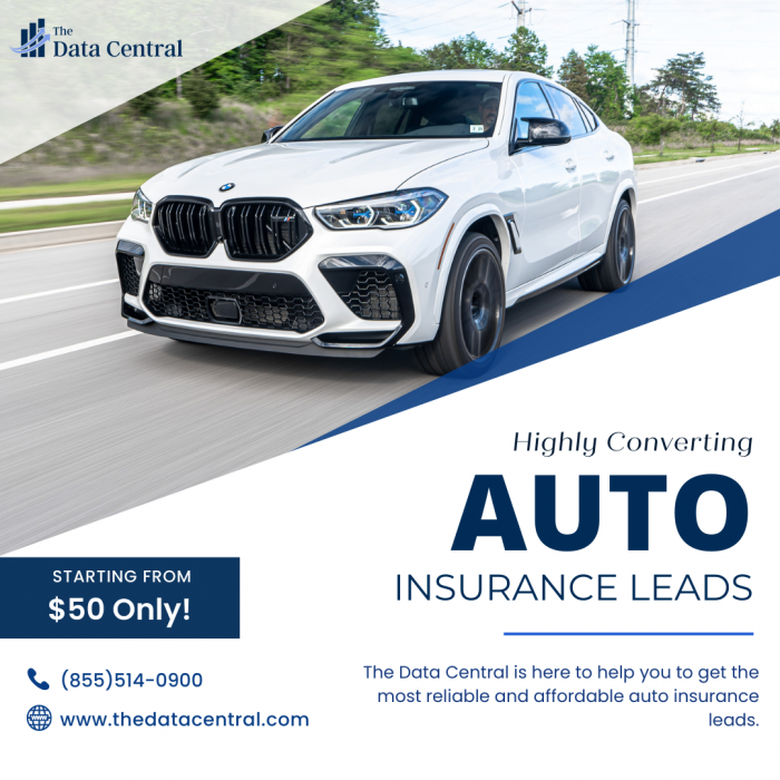 Highly Converting Auto Insurance Leads