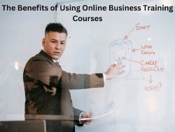 The Benefits of Using Online Business Training Courses