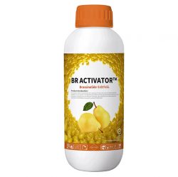BR ACTIVATOR® Brassinolide 0.01%SL, 0.01%SP Plant Growth Regulator