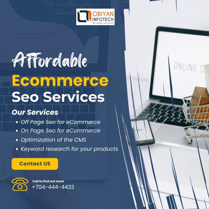 Affordable Ecommerce Seo Services