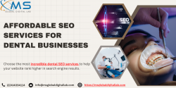Affordable SEO Services for Dental Businesses