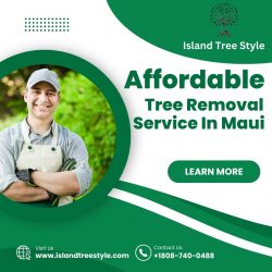 Affordable Maui Tree Company – Island Tree Style