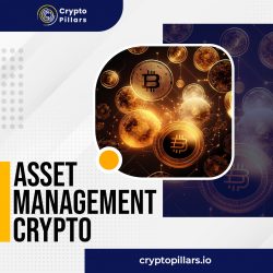Maximizing Returns and Security: The Role of Asset Management in Crypto Investments
