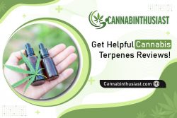 Comprehensive Cannabis Terpenes Reviews