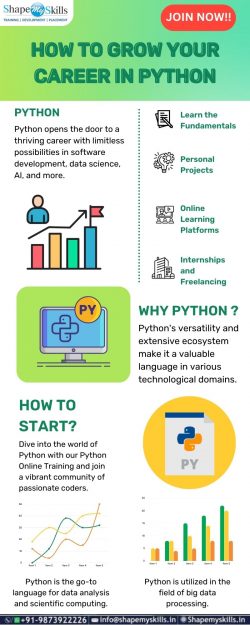 Become a Python Pro | Python Training In Noida | ShapeMySkills