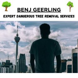 Benj Geerling – Expert Dangerous Tree Removal Services