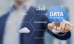 Best Data Processing Services Online