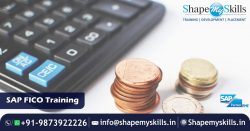 Outshine Your Career | SAP FICO Training in Noida | ShapeMySkills