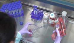 Better Cell Culture and Number of Quality Control Procedures to be Followed
