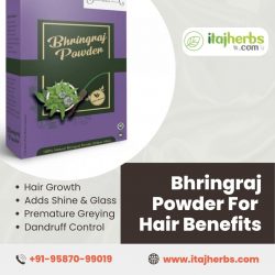 Bhringraj Powder For Hair Benefits | Order Bhringraj Powder Online