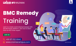 BMC Remedy Online Training