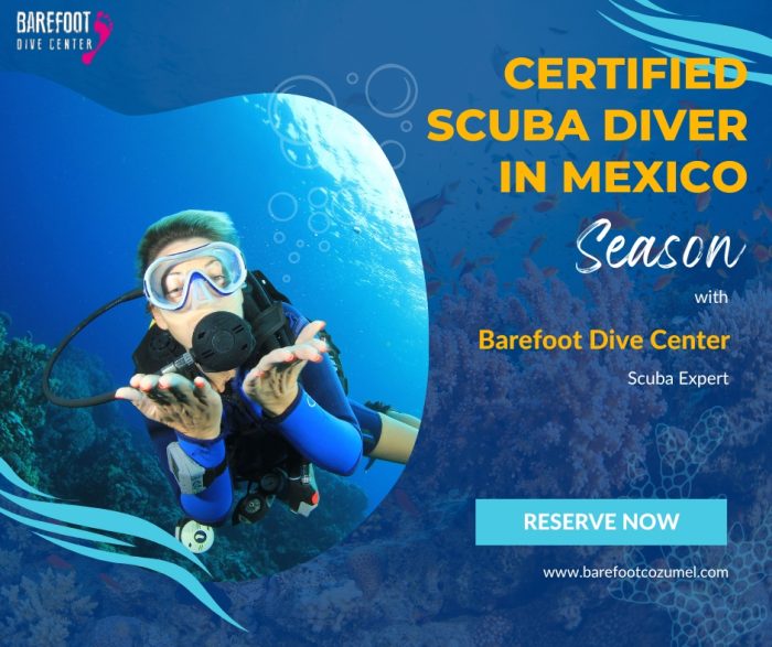 Dive into Adventure with the Best Dive Shops in Cozumel