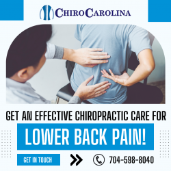 Get Relief from Low Back Pain with Our Experts!