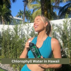 Chlorophyll Water: The Natural Way to Stay Hydrated and Healthy in Hawaii
