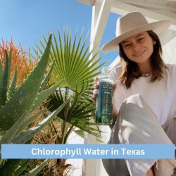Chlorophyll Water: The Natural Way to Stay Healthy in Texas