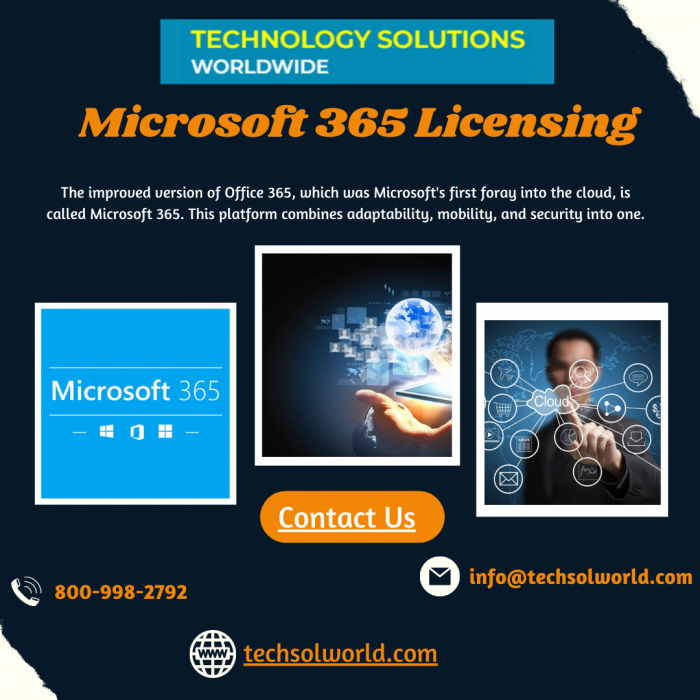 Choosing The Right Microsoft 365 Licensing Plan For Your Business ...