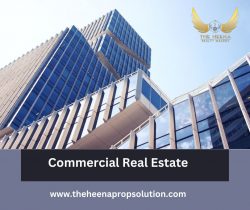 Commercial Real Estate Success by The Heena Realty Makers
