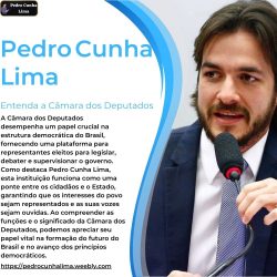 Compreendendo a Câmara dos Deputados-Percepções de Pedro Cunha Lima