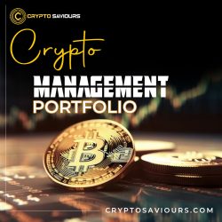 CryptoSaviours: Secure Your Future with Expert Crypto Portfolio Management