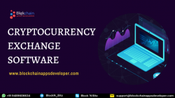 How can I find the best cryptocurrency exchange software development company?