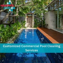 Customized Commercial Pool Cleaning Services