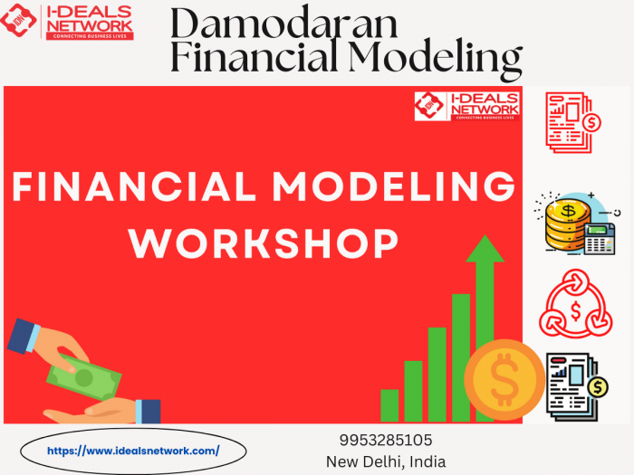 Damodaran Financial Modeling by Ideals Network | Ideals Network