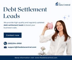 Debt Settlement Leads