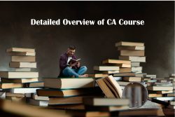 Detailed Overview of CA Course