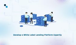 White Label Lending Platform Development- Cost & Benefits