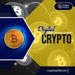 Unleashing the Power of Digital Asset Management Crypto: A Comprehensive Guide