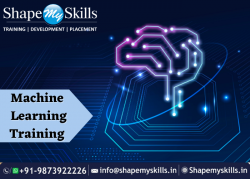 Discover Your True Capabilities | Machine Learning Training in Noida | ShapeMySkills