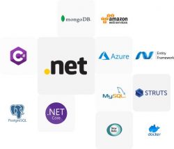 Best Dot NET Development Company in USA