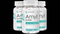 Amyl Guard Reviews:- Does It Work? Ingredients And Benefits (2023)