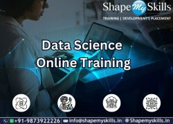 Empower Your Career | Data Science Online Training | ShapeMySkills