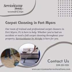 Explore Carpet Cleaning in Fort Myers
