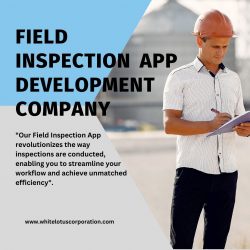 Field Inspection App Development Company Using Node.Js