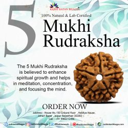 Shop 5 Mukhi Rudraksha Online at The Best Price