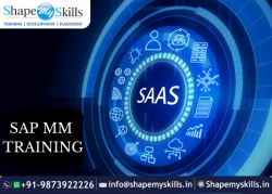 From Beginner To Pro | SAP MM Training in Noida | ShapeMySkills