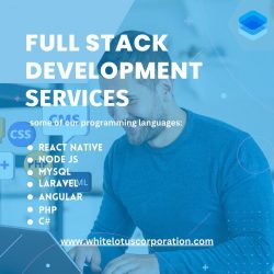 Fullstack Development Company