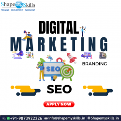 Grab Your Best Career Skills | Digital Marketing Training in Noida | ShapeMySkills