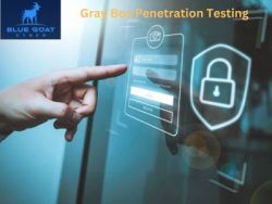 Unveiling Hidden Risks – Gray Box Penetration Testing Services